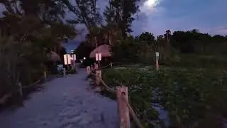 Turtle Beach Campground 