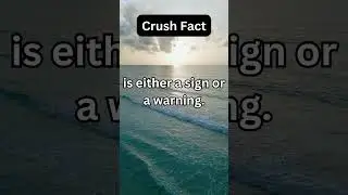 Crush Fact part 1 #audienceengagement #motivation #communityissues #facts #quotes #mindset #love