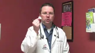 Canine & Feline Diseases : How to Know If Your Dog Has Fleas