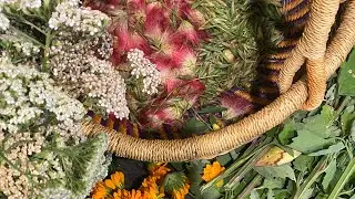 How to make an herbal beer!