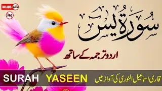 Surah Yasin (Yaseen) with Urdu & Hindi Tarjuma | Ismail Annouri | Heart Touching Tilawat | Epi 102