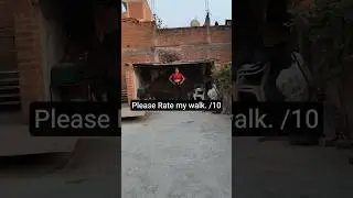 Beginner Model Ramp Walk Practice | Rate My Walk 🔥 | #viral  #modelwalk #modellife #confidencewalk |
