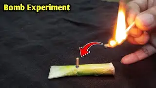 Match Bomb Experiment|Sciences Experiments #experiment #science #biology