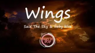 Said The Sky & Baby Blue - Wings (한국어,가사,해석,lyrics)