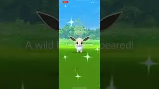 SHINY EEVEE IN POK&Eacute;MON GO ✨ (EEVEE COMMUNITY DAY 2021)