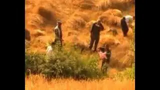 yeşildere köyü ekin biçimi