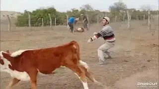 12 de octubre de 2025