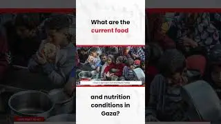 Gaza Food Crisis Still Severe