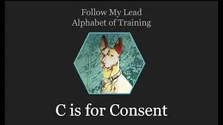 Follow My Lead Alphabet of Training - C is for Consent