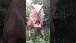 Dino - K&ouml;ln - K&ouml;lner Zoo - Sommer 2025
