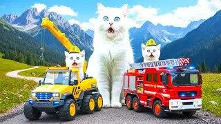 Кошка-мама подстригает шерсть на ферме и вяжет шапочку тигра для котят дома 🐾🎩🐯