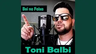 Boi na Faixa