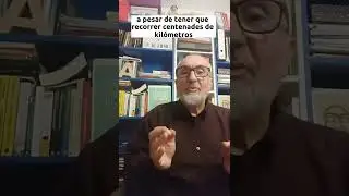 &iquest;C&oacute;mo sabe una paloma mensajera d&oacute;nde tiene que ir?