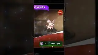 Epic Seven Pet Experience