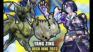 YANG ZINGS IN 2023!?!? Yang Zing deck profile| June 2023
