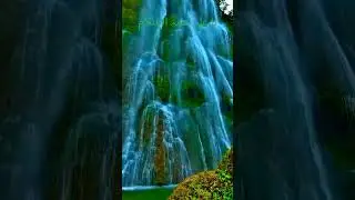#surahalhashr