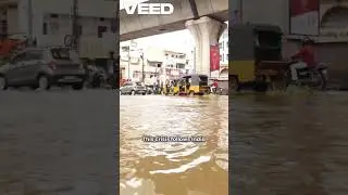 Punjab Flood Crisis Update (Ravi river)  #kartarpur#flood#flood in pakistan#ndma#lahore flood#pdma