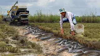 Top Tips for Catching Copper Snakehead Fish Effectively