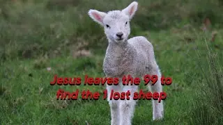 Jesus' Parable of the Lost Sheep