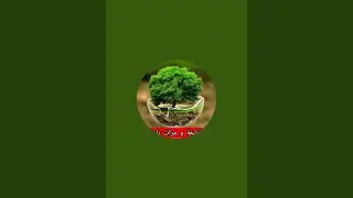 بدأت قناة 