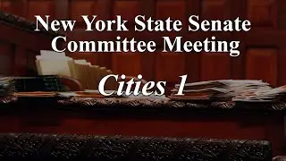 Senate Standing Committee on Cities 1 - 02/03/2026
