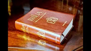 18. La Biblia El Libro del Pueblo de Dios, Levoratti-Trusso. Editorial Verbo Divino.