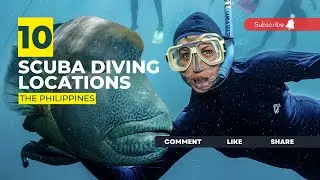 [2023] The Philippines Dive Sites That Will Blow Your Mind: Our Top 10 Scuba Diving Locations