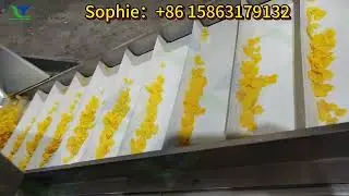 Sweet corn flakes production line breakfast cereal twin screw extruder