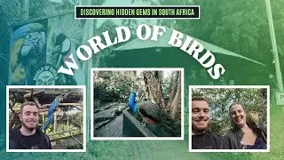 Exploring South Africa: World Of Birds