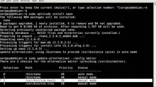 auto vs manual mode in update-alternatives on Linux