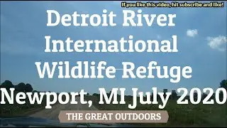 Detroit International Wildlife Refuge, Newport, MI July 2020