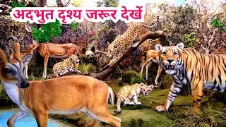 Dumka Jharkhand ka Popular Park Dumka Park Near Airport Road | Children Best Park at Dumka District