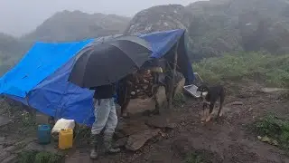 Real Nepali Mountain Village Life shepherd  the Rain | Most Peaceful And Relaxing Village Life Nepal