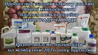 Захистіть свій майбутній врожай винограду професійними засобами захисту
