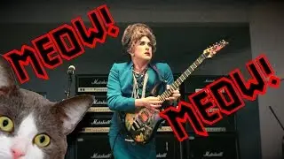 Crazy Cat Lady Guitar Shred