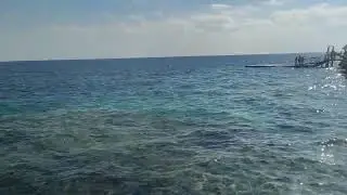 Шарм Эль шейх ПОГОДА 30 декабря #египет25 #море