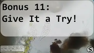 Bonus 11 - Give It a Try!