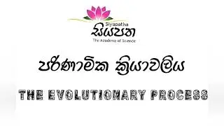 The Evolutionary Process |පරිණාමික ක්&zwj;රියාවලිය|@Siyapatha Academy of Science 2020