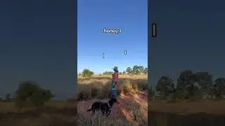 Beat? Dont know her  #australianoutback  #agriculture  #ruralaustralia