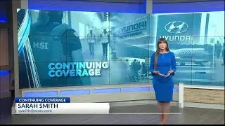 'It's a setback': SEDA president talks Hyundai raid, relationship with South Korea