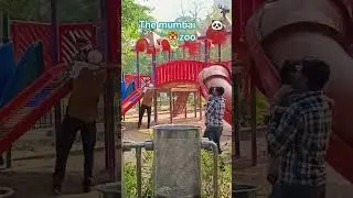 #The #mumbai #zoo #zooanimals #viralvideo #vlogger