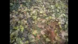 Futterdummy Spa&szlig;