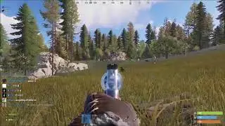 Rust fireing squad