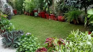 Indian Garden Overview in October(Music)