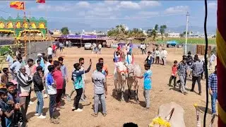 ತೇಗೂರು ಜೋಡಿ ಎತ್ತಿನಗಾಡಿ ಓಡಿದ ಸ್ಪರ್ಧೆ Bhoochethana \\ ಭೂಚೇತನ  is live!