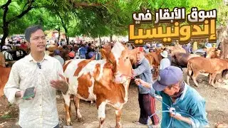 أرخص سوق أبقار في إندونيسيا
