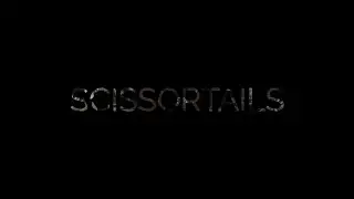 The Scissortails Promo