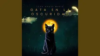 Gata en la oscuridad