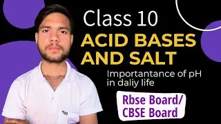 Importance of pH in Daily Life 🌍⚗️ | Class 10 Science Chapter 2