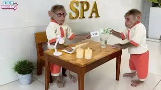 When Lily grows up and becomes rich | Lily's story